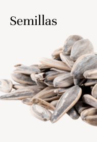 Semillas