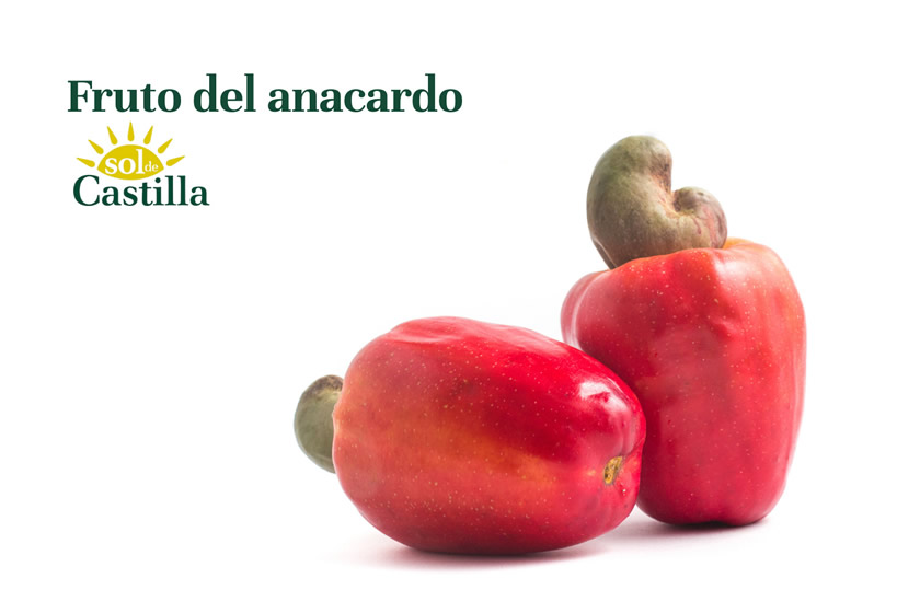 origend e los anacardos