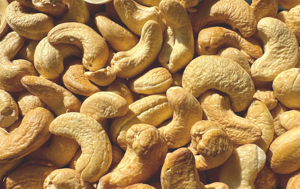 tostado de anacardos de sol de castilla