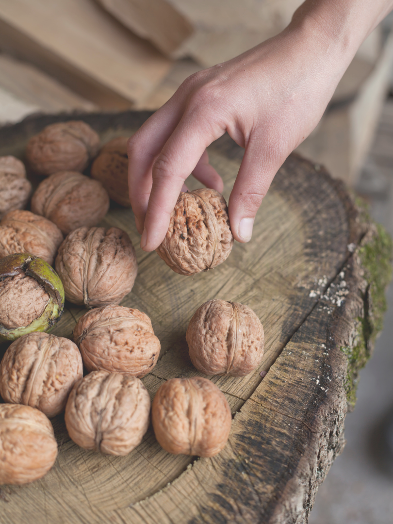 anacardos recetas con anacardos